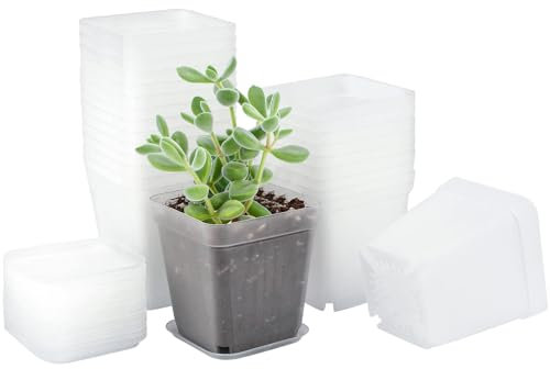 QITIXI:OU 30 Stück Pflanztöpfe, 7CM Anzuchttöpfe, Anzucht Ackig Klein Mit Untersetzer, Dickte Blumentöpfe, Kunststoff Vierkant Mini Töpfe Quadrate mit Abflusslöchern für Samen Sukkulenten (White)