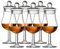 Spey - Whisky Tasting Glass with Lid (Set of 6) 14cl