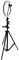 Doki LS002 LED Redondo con Tripode 210cm, Diameter 26cm Ring Light para Maquillaje, Tiktok, Stream, Fotografia