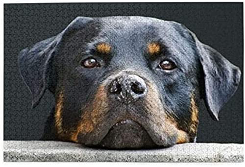 KESIMO Puzzles 1000 Teile Rottweiler Haustiere Hunde Rottweiler Papierpuzzle Spielzeug Familienspiel Wanddekoration Für Erwachsene Teenager 50 * 70 cm