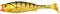 LMAB Perch Shad 7 cm, 9 cm, 11 cm, 14 cm, 18 cm, 23 cm KÖFI - Gummifisch Angelköder, Kunstköder Gummiköder Softbait zum Hechtangeln, Barschangeln, Hechtköder (11 cm - Gold Tiger)