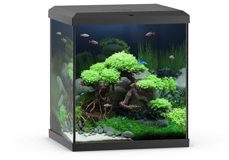 JUWEL Aquarium VIO Cube 54 schwarz, 54L Aquarium mit LED Beleuchtung und Filtersystem, 41x36x47 cm