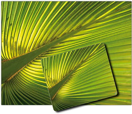 1art1 Palmas, Hoja De Palmera De Cáñamo 1 Póster Impresión Artística (50x40 cm) + 1 Alfombrilla para Ratón (23x19 cm) Set Regalo