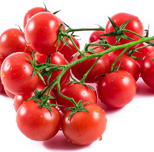 Tomato Plants, 'Sweet Million', 3 x Full Plants in 9cm Pots, Tomatoes, Cherry Tomato, Grow Your Own, Garden Ready and Ready to Plant, Premium Quality Tomatoes