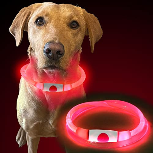 Murr Light Up LED Flashing Rechargeable USB Collar Light for Night, Red