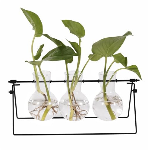 HZ-WONMIO Terrarium pour plantes avec support en métal, station de propagation murale ou de bureau avec 3 bulbes de fleurs en verre - Noir