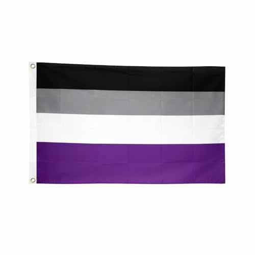 Brick Takeover Regenbogen Flagge 150cm x 90cm, mit Metallösen (Asexuelle Pride Flag)