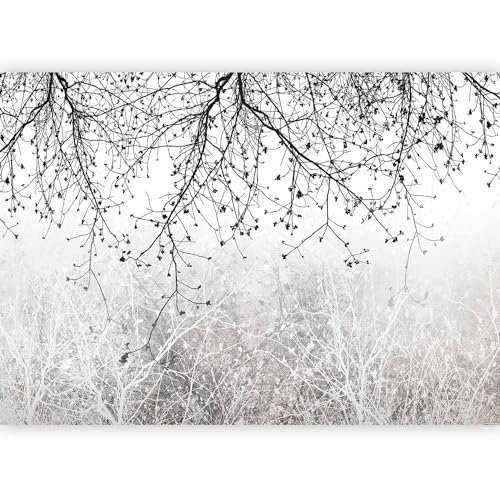 murando - Papier peint panoramique nature 350x256 cm - Revêtement mural décoration pour chambre salon cuisine - Design unique et moderne - Gris noir - Arbres plantes nature b-C-0840-a-a