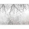 murando - Papier peint panoramique nature 350x256 cm - Revêtement mural décoration pour chambre salon cuisine - Design unique et moderne - Gris noir - Arbres plantes nature b-C-0840-a-a