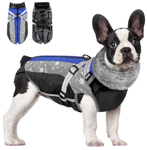 Eyein Hundemantel Winter, Wasserdichter Fleece Hundemantel mit Geschirr für kleine, mittlere und große Hunde, reflektierende verstellbare Welpenweste für Spaziergänge im Freien (Blau, L)
