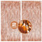 2 Pack Rose Gold Foil Fringe Backdrop Rose Gold Tinsel Backdrop Tinsel Curtain Backdrop Streamer Backdrop Curtain for Rose Gold Birthday Decorations Prom Decorations Party Streamers Decorations