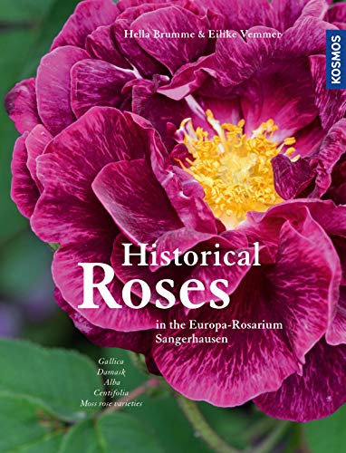 Historical Roses: in the Europa Rosarium Sangerhausen