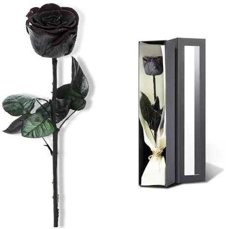 Rosa conservata, fiori conservati per la consegna prime, singolo fiore rosa regali per donne, vera rosa regalo per lei, regali di compleanno, fiori di San Valentino per la fidanzata - nero