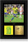 Win FC Neymar Jr Gerahmtes Foto, A4, mit digitaler Unterschrift, Geschenk für Brasilien-Fans