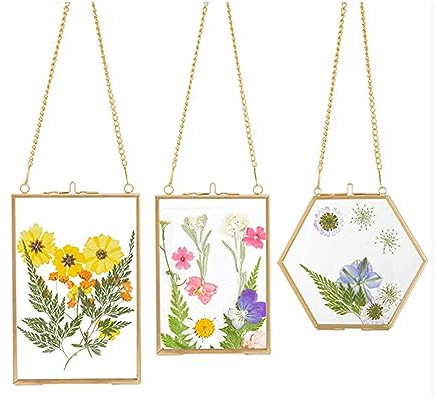 Tiamu 3 Pack Bilderrahmen Wandbehan Glasrahmen Doppelglas, Hängende Schwimmende Glas Fotorahmen, Pflanze Probe Clip, Bilderrahmen zum Gepresste Blumen, Foto, Bild, Karte, Urkunde