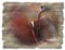 ARTland Wanddeko Bild aus Holz Holzbild vintage Deko 40x30 cm Querformat Rotwein Wein Italien Mediterran T5PV