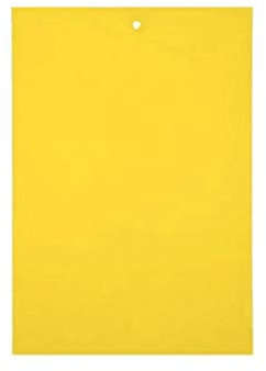 Luckywaqng Einwegfliegenfalle 20/30 oder Gelbe klebrige Mücke für die Flying Indoor-Outdoor-Seite Fettkraut Pflanze (Yellow, One Size)