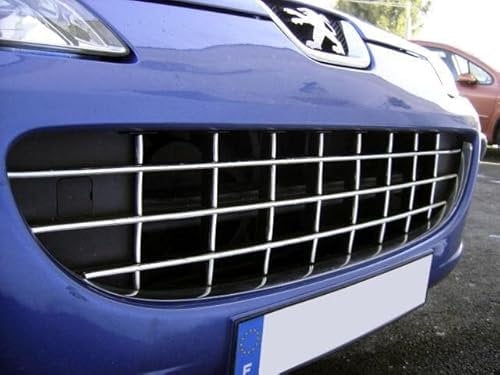Luxyline Baguette de calandre chromée Compatible Peugeot 407 & Peugeot 407 SW