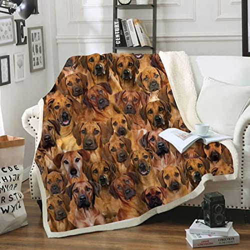 Rhodesian Ridgeback Kuscheldecke Kinder Erwachsene Decke Flauschig Flanell Fleecedecke Wohndecke Soft 3D Tier Hund Drucken Warm Winter Mikrofaserdecke Sofadecke Tagesdecke 100x130 cm