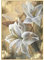 Acrylbilder Auf Leinwand Handgemalt, Vintage Weiße Blühende Lilie Blume Pflanze Abstrakte Kunstwerke Rahmenlose Original Handgemalte Ölgemälde Auf Leinwand Wandkunst Für Wohnzimmer Schlafzimme