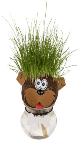 Seaside No.64 Tête d'herbe amusante avec réservoir d'eau - Expérience de plantes DIY pour enfants - Graines de gazon poussant comme poils - Amusement créatif et idée de décoration mignonne pour la