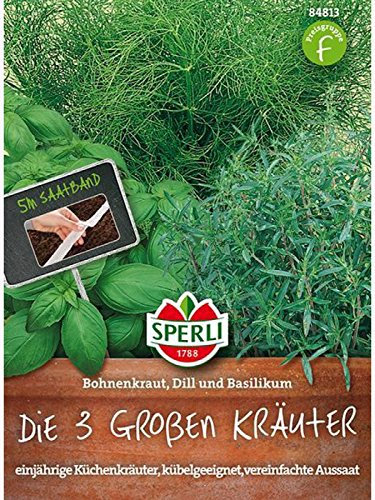 Die 3 Großen Kräuter: Bohnenkraut Dill Basilikum, Saatband 5m