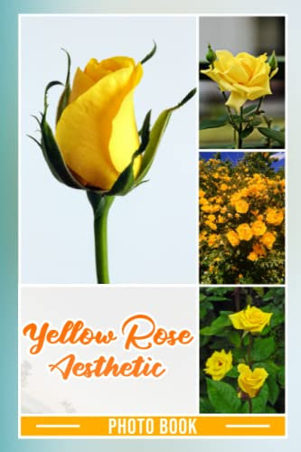 Yellow Rose Aesthetic Photo Book: Relaxing Photo Album Collection Of Flowers For Relaxation
