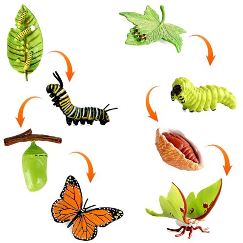 HENGBIRD 8 Stücke Schmetterling Lebenszyklus Spielzeugfiguren und Motte Figur aus Raupe zu Schmetterling Wachstumszyklus Kit Montessori Spielzeug Lernwerkzeuge Schule Projekt für Kinder 3-8 Jahre alt