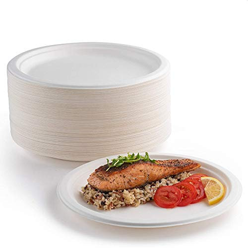 Lot de 50 assiettes en carton, 100 % biodégradables et compostables, respectueuses de l'environnement, durables, recyclables, parfaites pour les pique-niques, les barbecues (15,2 cm)