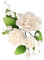 Cake Company Zuckerblumenboquet Rose 1 Stück weiß 1er Pack (1 x 109 g) | Tortendekoration zur Hochzeit und Geburtstagen