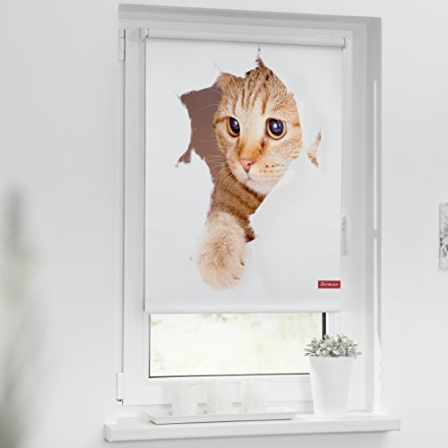 Lichtblick Klemmfix Verdunklungs-Rollo mit Motiv, ohne Bohren, Blickdicht, Seitenzugrollo, Made in Germany, Katze - Weiß Braun 120 x 150 cm (B x L)