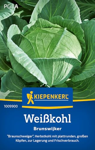 Kiepenkerl Weißkohlsamen Brunswijker 1009900, Gemüsesaat | Inhalt für 50 Pflanzen, Samen Weißkohl, Gewicht 3-4 kg
