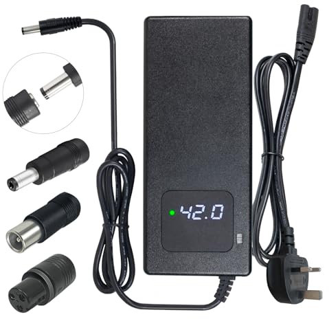 54.6V 2A fast charger for 48V lithium battery, with LED display and multiple protection and repair functions, UKCA certification, equipped with connectors (RCA 8mm, DC 5.5 * 2.1mm, GX12)