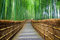 adrium Acryl-Bild 90 x 60 cm: Pfad zum Bambuswald Arashiyama Kyoto Japan(40267738)