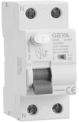 Disyuntor electromagnético súper inmunizado tipo RCD RCCB ELCB A-SI con retardo de tiempo (2P 40A 30mA)