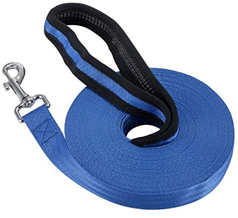 Vivifying Training Lead for Dogs, 50FT/15M Long Nylon Long Line Dog Lead for Pet Tracking Training Obedience Lead Leash (Blue)