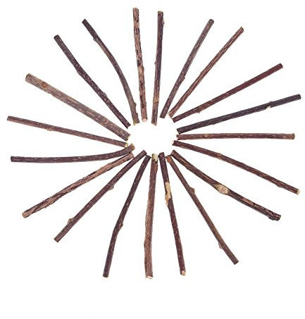 UEB 20pcs Bâtons Matatabi à Mâchonner Jouet à la Menthe à Chat pour Une Dentition Féline Saine et Contre la Mauvaise Haleine