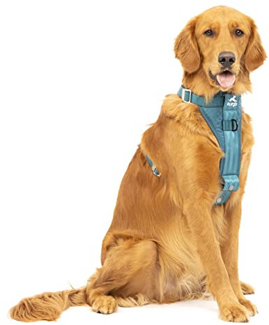 Kurgo TRU-Fit Hundegeschirr, Crash-Test-erprobtes Auto-Sicherheitsgurt, Für Hunde von 2 bis 5 kg, Größe XL, Rot