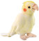 lilizzhoumax Papagei Kuscheltier 20cm/8Zoll Simuliertes Nymphensittich Tier Plüschtier Niedlich Kawaii Realistische Spielzeug Ostern Geschenk für Kinder Jungen Mädchen Gelb