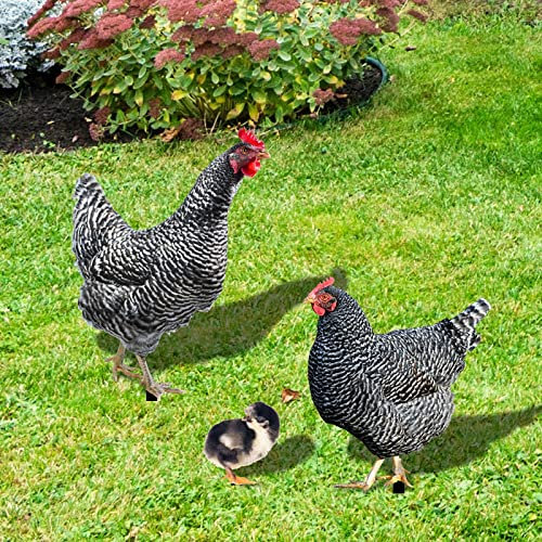 Gartendeko 3er Set Hühner Hühnerfamilie Henne Küken Set Huhn Gartenstecker Set Deko Ostern Frühlingdeko Outdoor Blumenstecker Gartenstatue Gartenfigur für Ostern Frühling Garten Balkon Terrasse