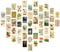 Werownsgso 50 Stück Retro-Wandcollage-Set 10,2 X 15,2 CM Beige Wandcollage Vintage-Pflanzen-Wandkunst Bilder Poster ästhetik Geeignet Für Wohnzimmer Zimmer Büro Dekoration