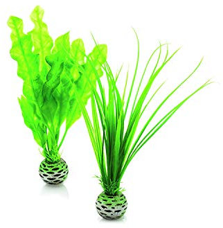 biOrb Juego de plantas de color verde en tamaño S