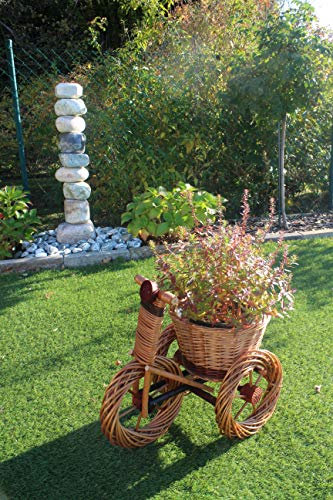 Triciclo de mimbre para plantar, hecho a mano, cesta de mimbre, maceta, maceta, maceta, maceta, jardinera