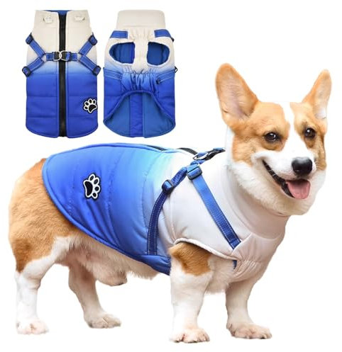 Savlot Hundejacken für den Winter Wasserdichter Hundemantel Winter Warme Jacke Welpen Winter Warme Jacke Kleines Hundejacke Outfit für kleine mittel Hunde(L, Blau)