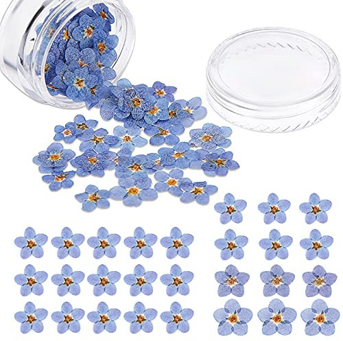 Nuanchu 50 Fiori Pressati Secchi Naturali Non Ti Scordar di Me Fiori Secchi per Resina per Gioielli Candele Fabbricazione di Carte Ornamenti in Resina DIY Decori Manicure Floreali