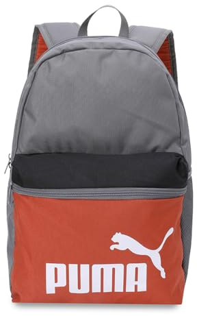 PUMA PUMA PHASE COLOR BLOCK Backpack, Unisex Klassische Rucksäcke, Cast Iron-Colorblock, OSFA - 091175
