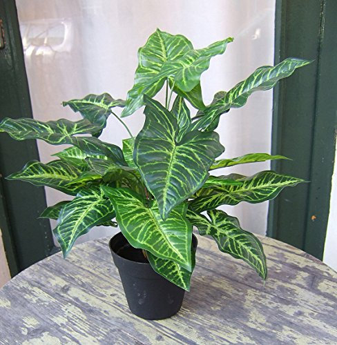 Licht & Grün exclusive Kunstpflanzen Künstliche Nephthytis Pflanze getopft ca. 45cm Top Qualität