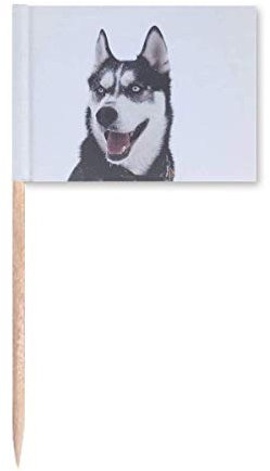 Big Dog Snow Husky Bild Zahnstocher Flaggen Marker Topper Party Dekoration