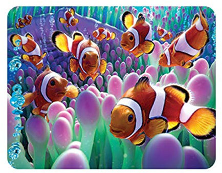 Deluxebase 3D LiveLife Magnet - Clown Fish from Lenticular 3D Ocean Fridge Magnet. Magnetic decor for kids and adults with artwork licensed from renowned artist, David Penfound