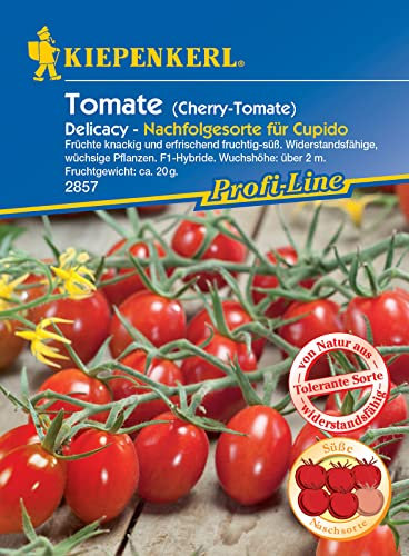 Tomate Cherrytomate Delicacy